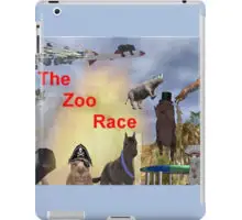 The Zoo Race