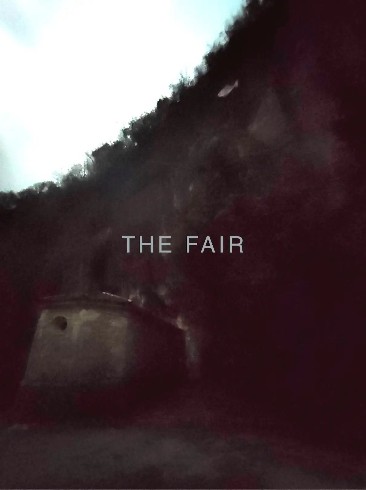 The Fair