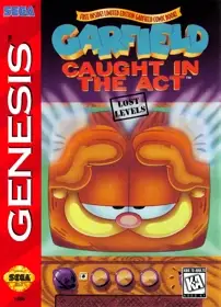 Garfield: The Lost Levels