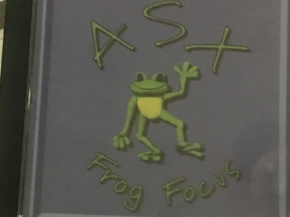 ASX Frog Focus