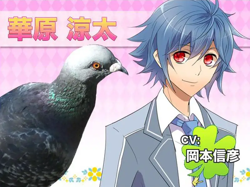Hatoful Boyfriend