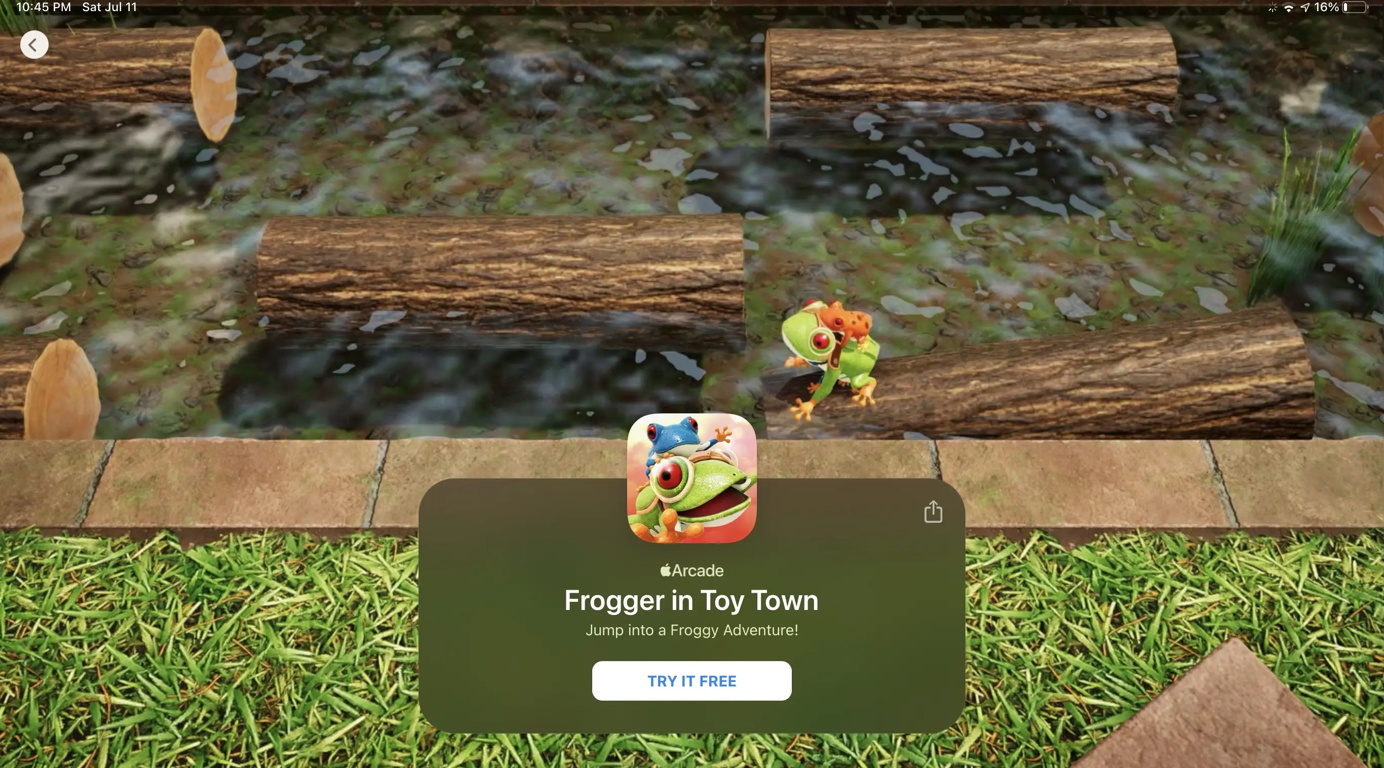Frogger in Toy Town