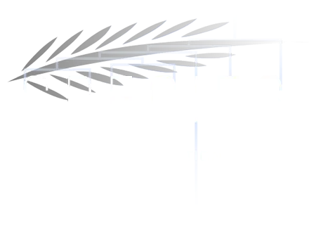 Species