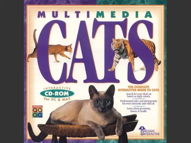 Multimedia Cats