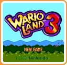 Wario Land 3