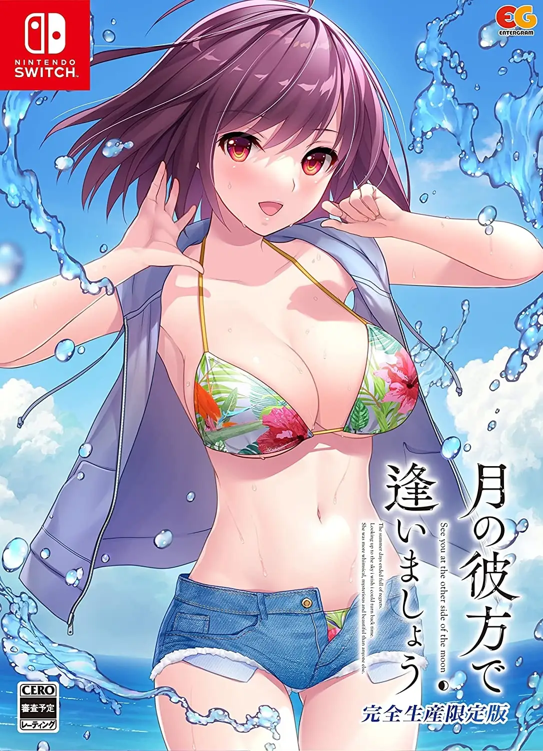 Tsuki no Kanata de Aimashou [Limited]
